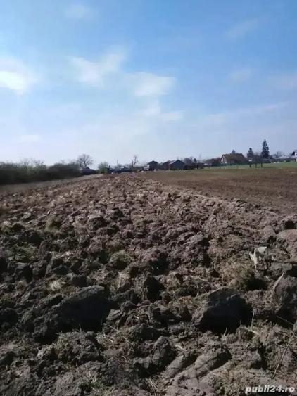 Teren de 2300 mp, în Bâldana