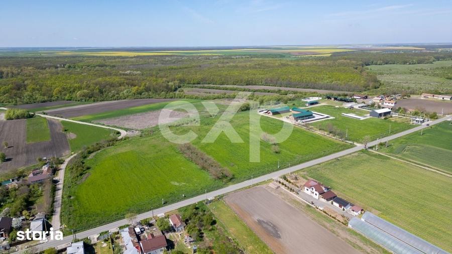 Teren de 105000 mp, în Singureni