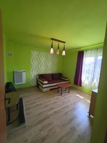 Casa + teren de vanzare - 29
