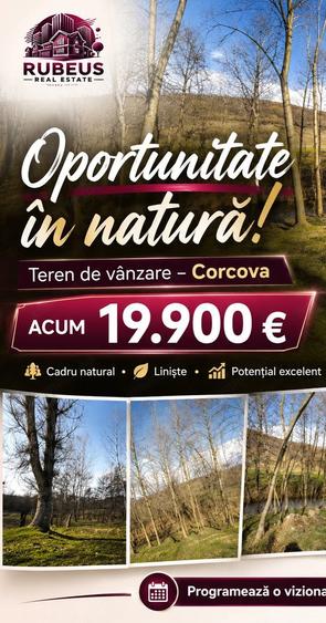 Teren de 10000 mp, în Corcova