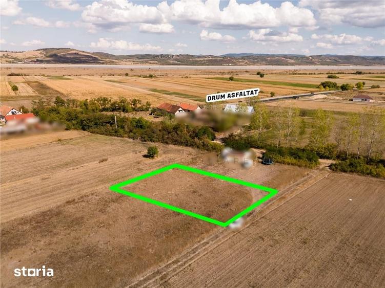 RECO Teren intravilan Tileagd 577 MP - 6