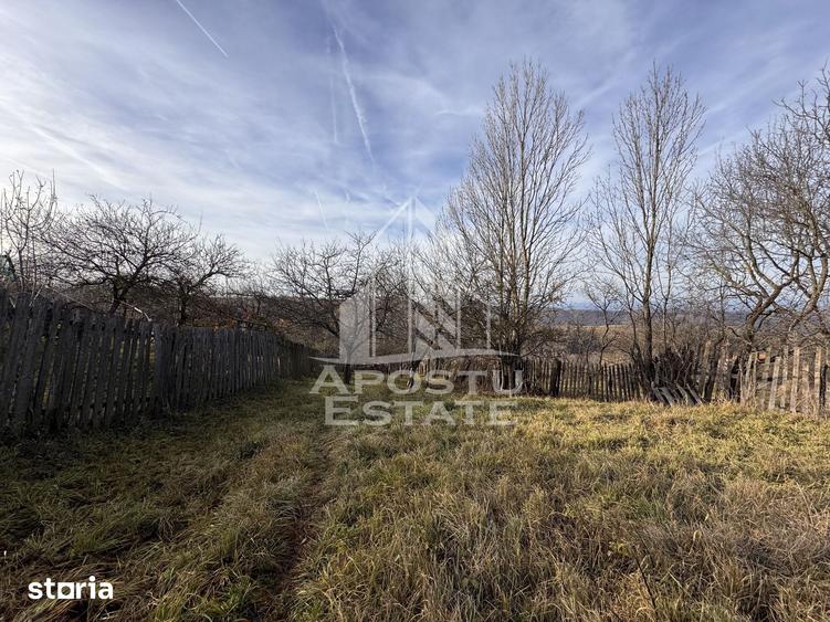 Casă cu 4 camere cu Teren 2231 Mp în Cerbăl