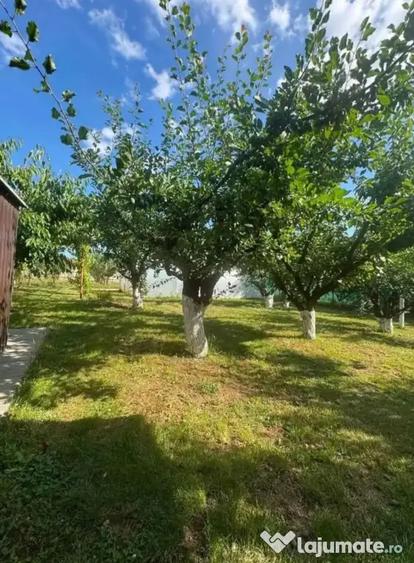 Casă cu 5 camere în Oncea