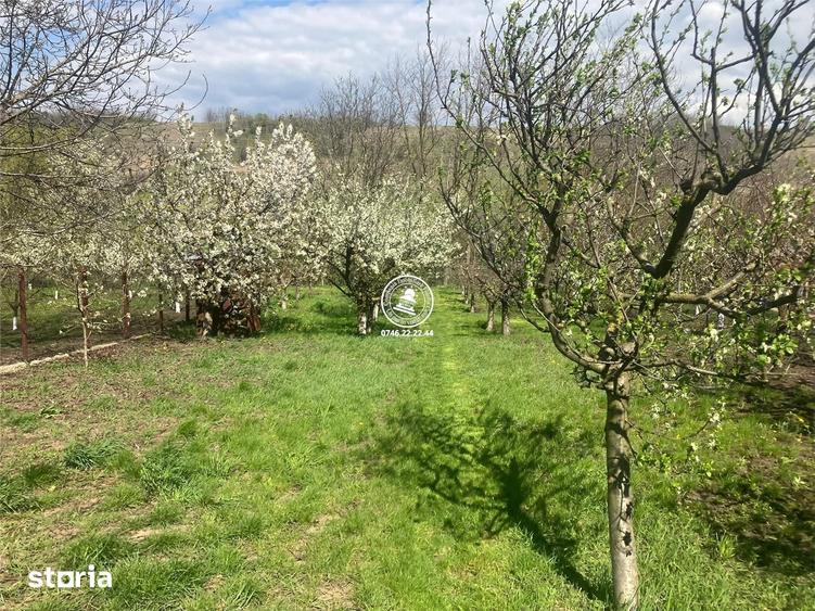 Casă cu 8 camere cu Teren 1172 Mp în Holboca