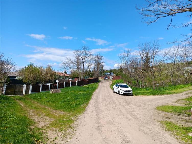 Teren intravilan de 1246 mp, în Rediu