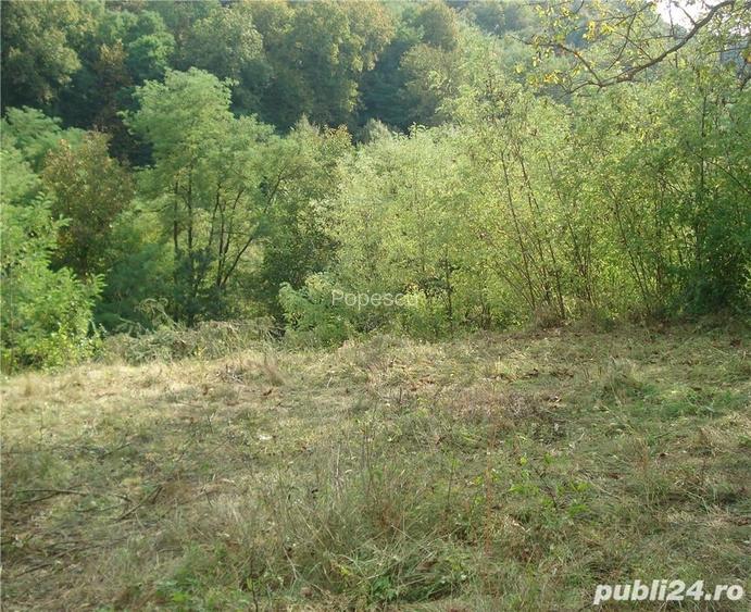 Teren vanzare Calimane?ti, Valcea
