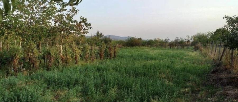 Casă cu 3 camere în Șiria