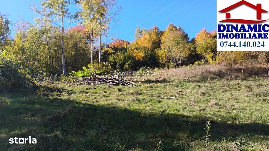 3600 mp teren intravilan, sat Bistrita, 14 Euro/mp