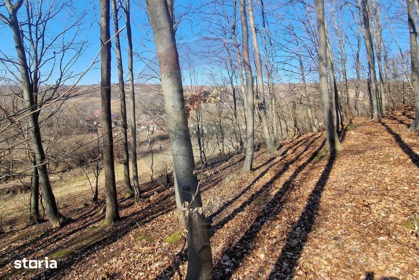 Teren de 4985 mp, în Sascut