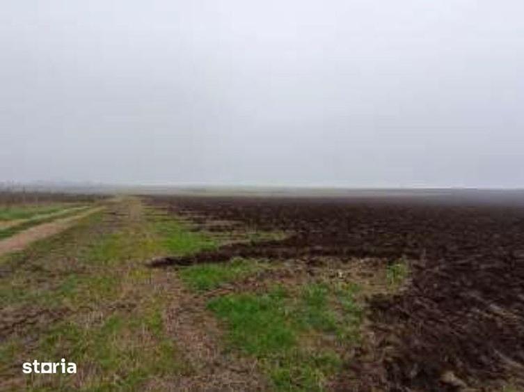 Teren de 15000 mp, în Limanu