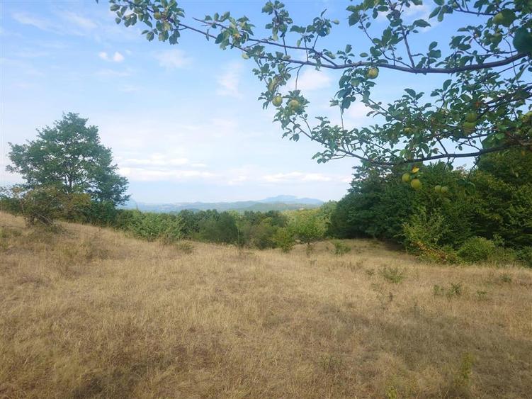 Teren agricol extravilan de 9059 mp, în Exterior Est
