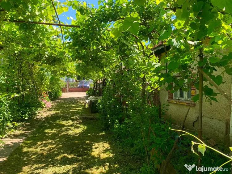 Casă cu 6 camere cu Teren 1874 Mp în Nana