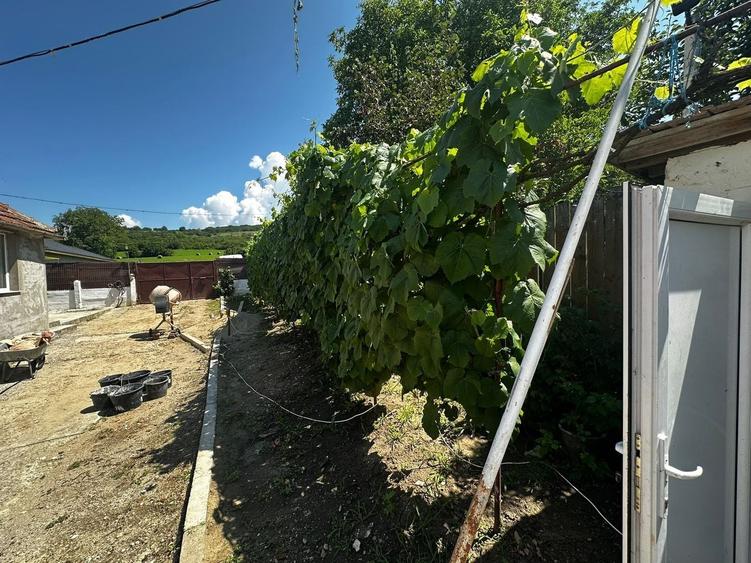 Casă individuală cu 3 camere cu Canalizare în Ruși