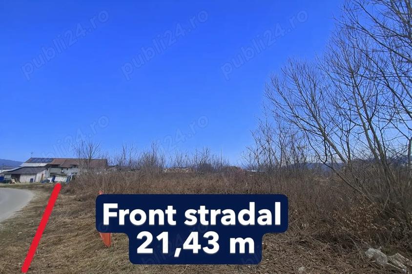 Teren de 4797 mp, în Bujoreni