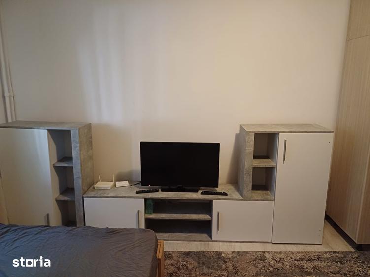 Apartament de inchiriat, 2 camere, decomandat, pet friendly - 3