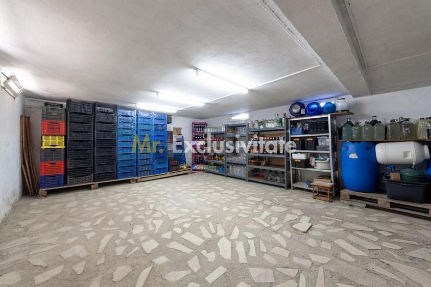 Casa visurilor cu livada roditoare si gradina amenajata - 4