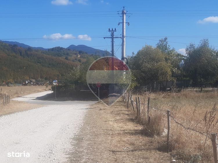 Teren de 7150 mp, în Sud