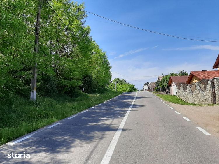Teren de 700 mp, în Alba