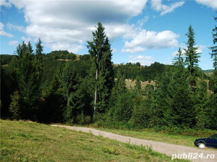 Teren de 1507 mp, în Arieșeni