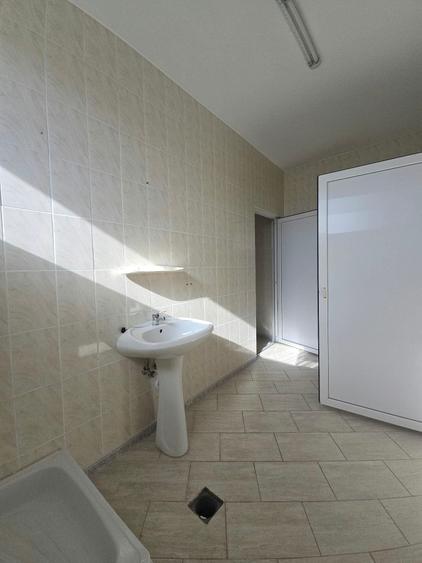 Spațiu comercial, de 170 mp, în Dobroești