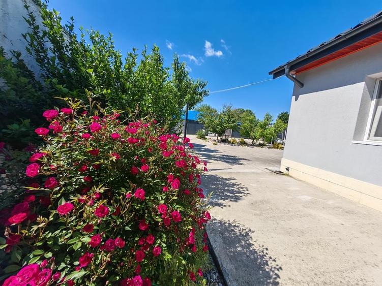 Casă cu 3 camere cu Teren 674 Mp în Crețești