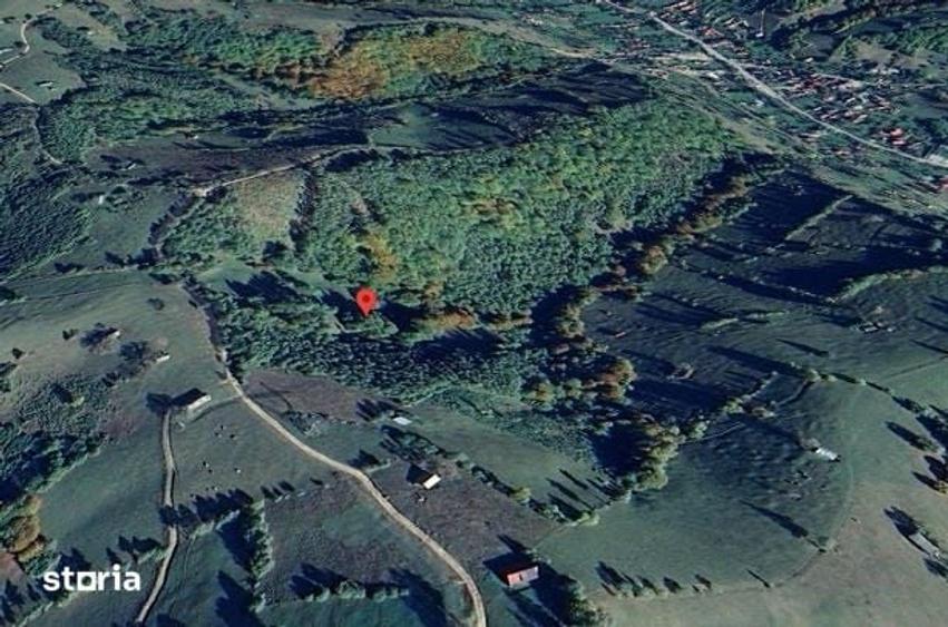 Teren de 13434 mp, în Bran