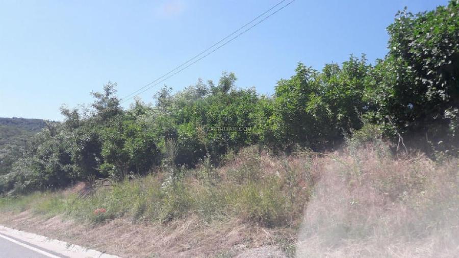 Teren agricol intravilan de 2257 mp, în Central