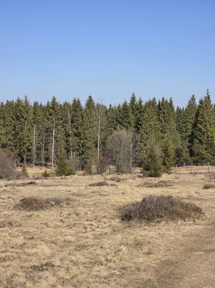 Teren de 3800 mp, în Central