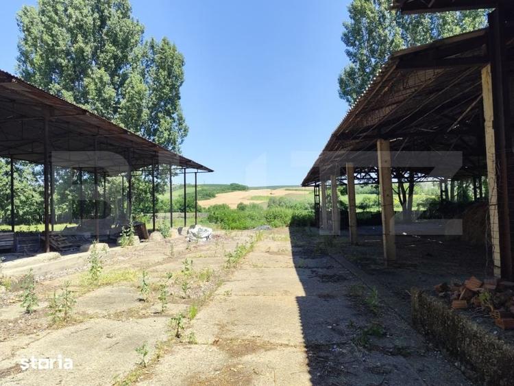 Teren de 32000 mp, în Stoicănești