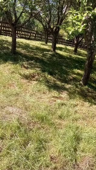 Casă cu Teren 2000 Mp în Muntele Filii