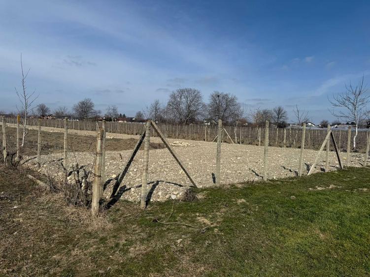 Teren de 4000 mp, în Câmpineanca