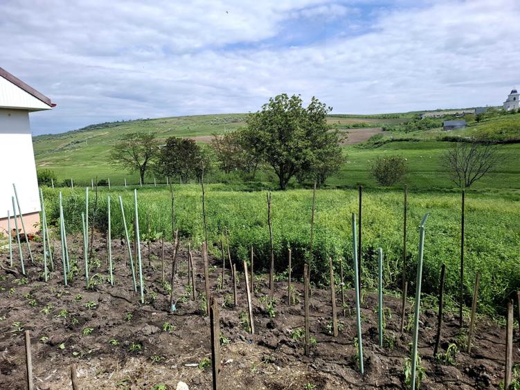 Casă cu 3 camere în Frumoasa