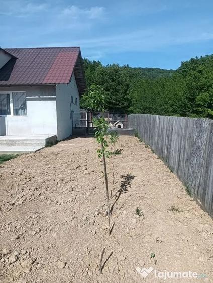 Casă cu 2 camere cu Teren 400 Mp în Pietrăria