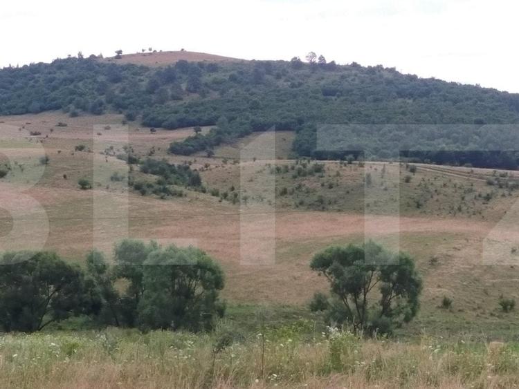 Teren Construcții intravilan de 5700 mp, în Exterior Est