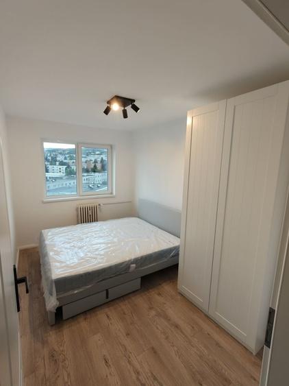 Apartament cu 2 camere decomandat în Dosu Bricii