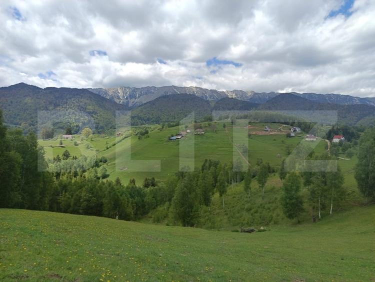Teren Construcții intravilan de 4649 mp, în Peștera