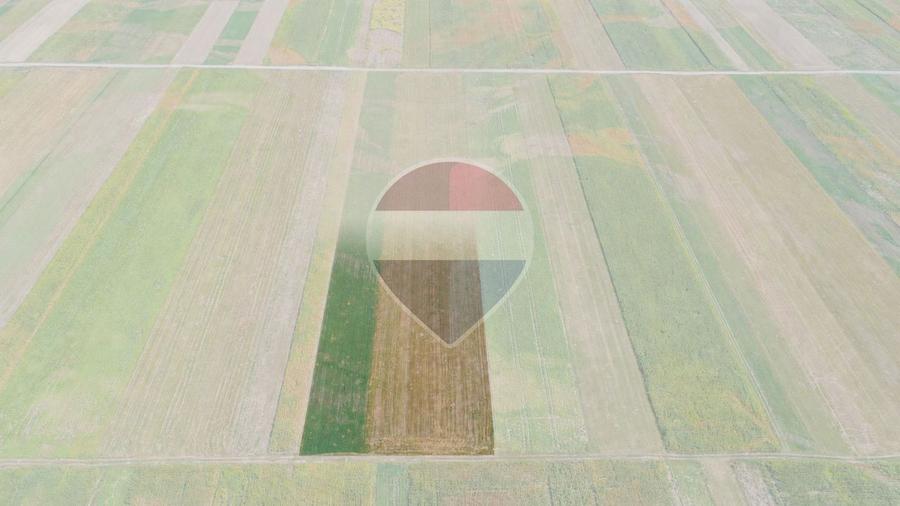Teren agricol extravilan de 14750 mp, în Prejmer