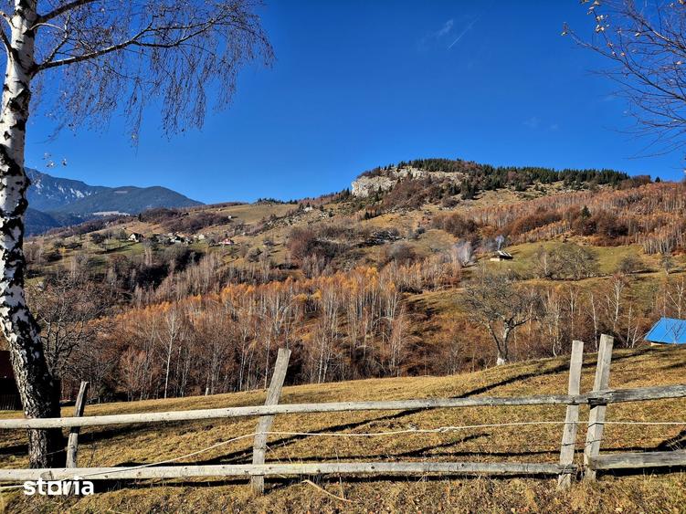Magura/Brasov, teren generos, pretabil investitie cabane/pensiune/casa - 9