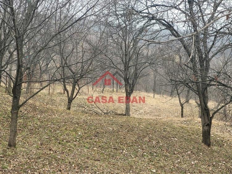 Casă cu Teren 1358 Mp în Gura Beliei