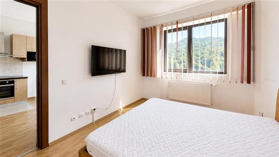 Apartament cu 2 camere semidecomandat, mobilat în Noua