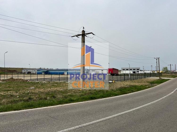 Teren Construcții intravilan de 2500 mp, în Bradu