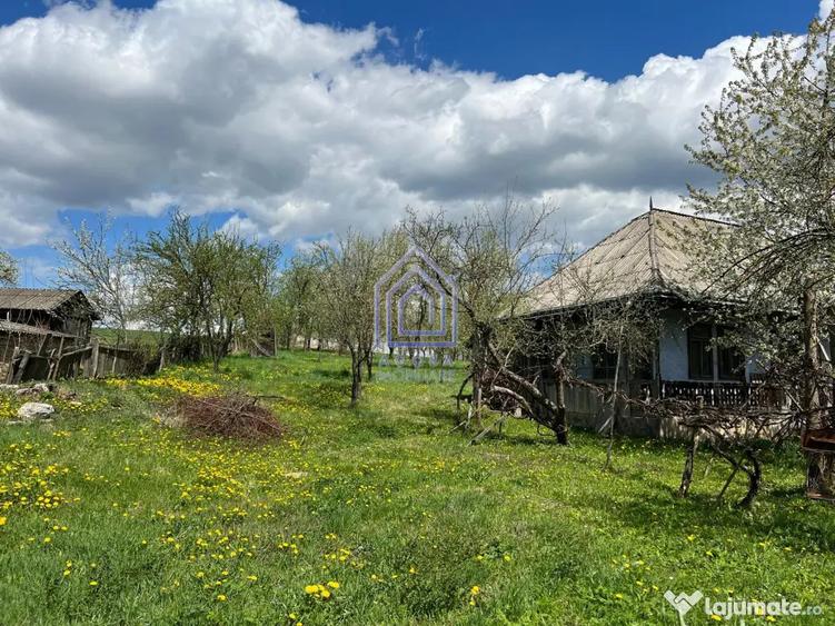 Teren de 4872 mp, în Antoceni
