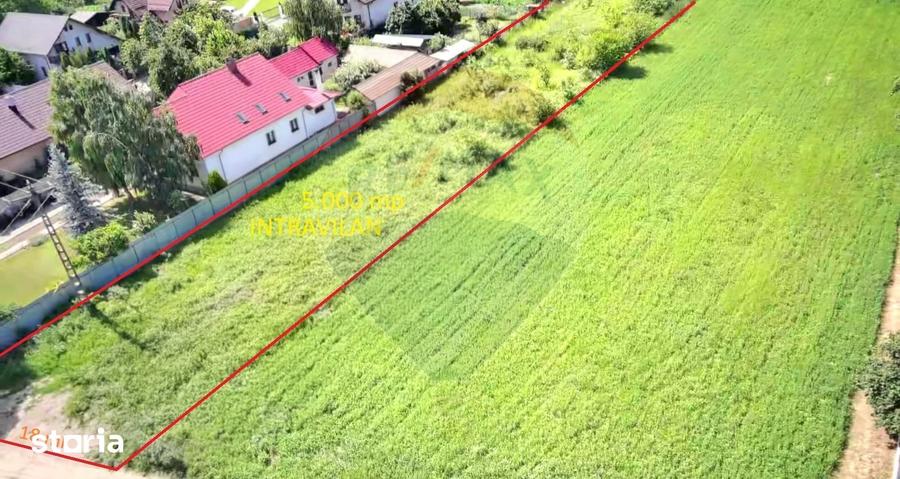 Teren de vanzare strada Bradului zona Lilieci - 6