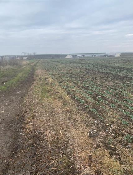 Teren Construcții intravilan de 2484 mp, în Corbeanca