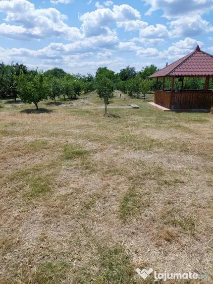 Casă cu 2 camere cu Teren 4500 Mp în Ionești