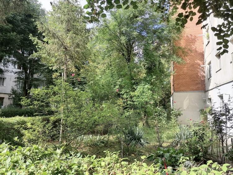 Apartament cu 3 camere semidecomandat, mobilat în Trivale