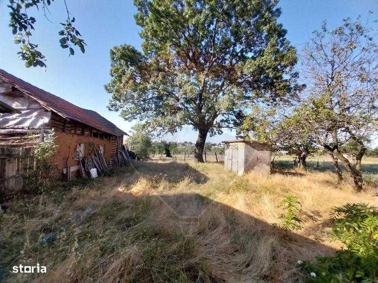 Casă cu 4 camere în Sărbătoarea