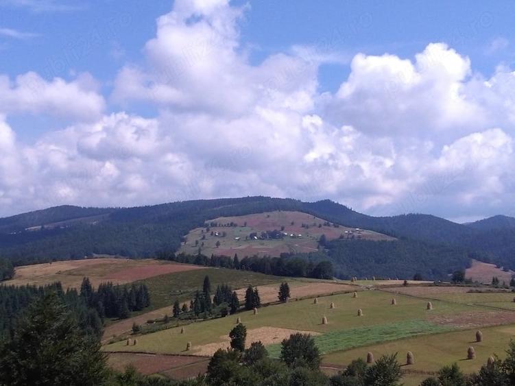 Teren de 2922 mp, în Bubești