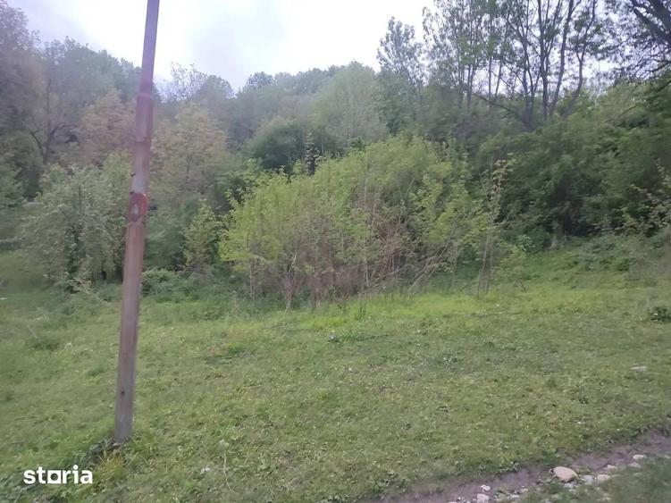 Teren de 1241 mp, în Provița de Sus