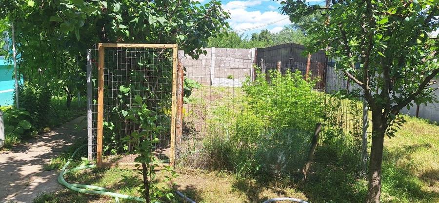 Casă individuală cu 3 camere cu Teren 3400 Mp în Icoana